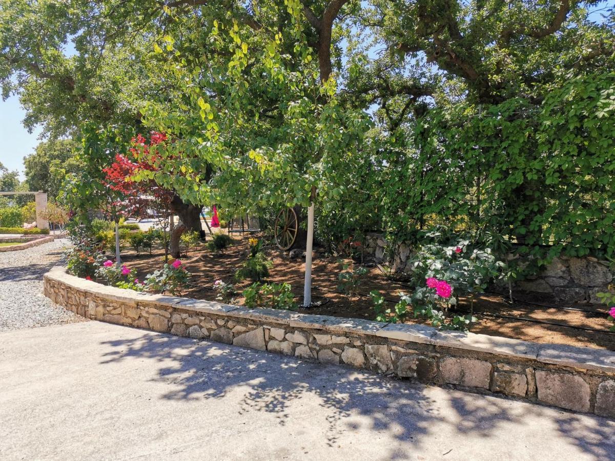 Villa Ermis - The Cretan Castello Kastellos ภายนอก รูปภาพ