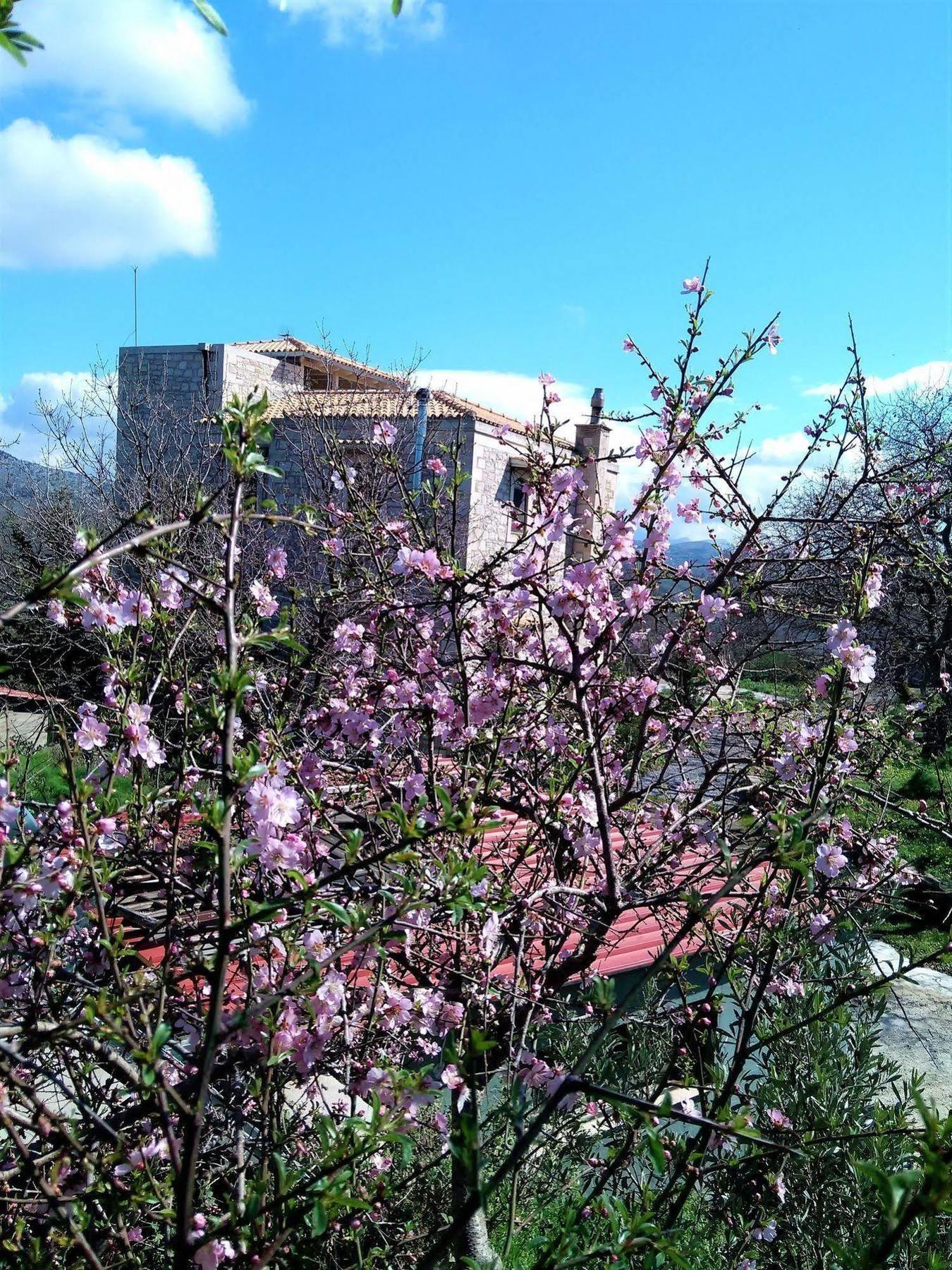 Villa Ermis - The Cretan Castello Kastellos ภายนอก รูปภาพ